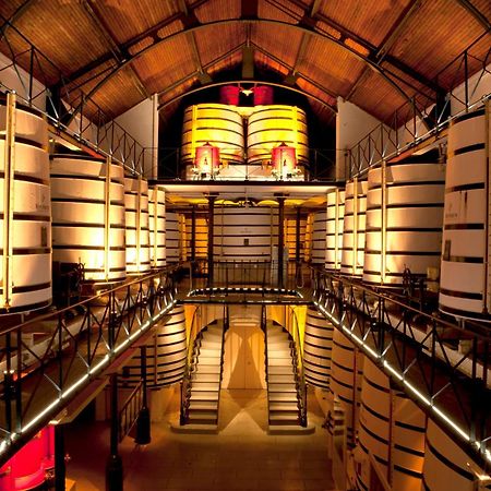 Le Mimosa #Netflix #Centre-Ville Cognac Dış mekan fotoğraf